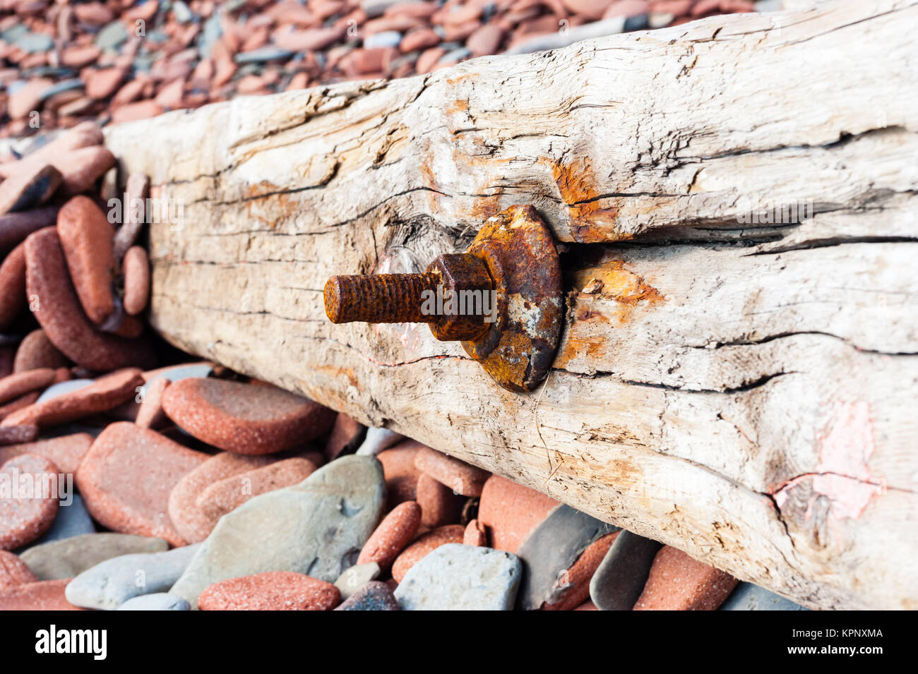 Old rusted screw in cracked wood on rocks Stock Photo Alamy