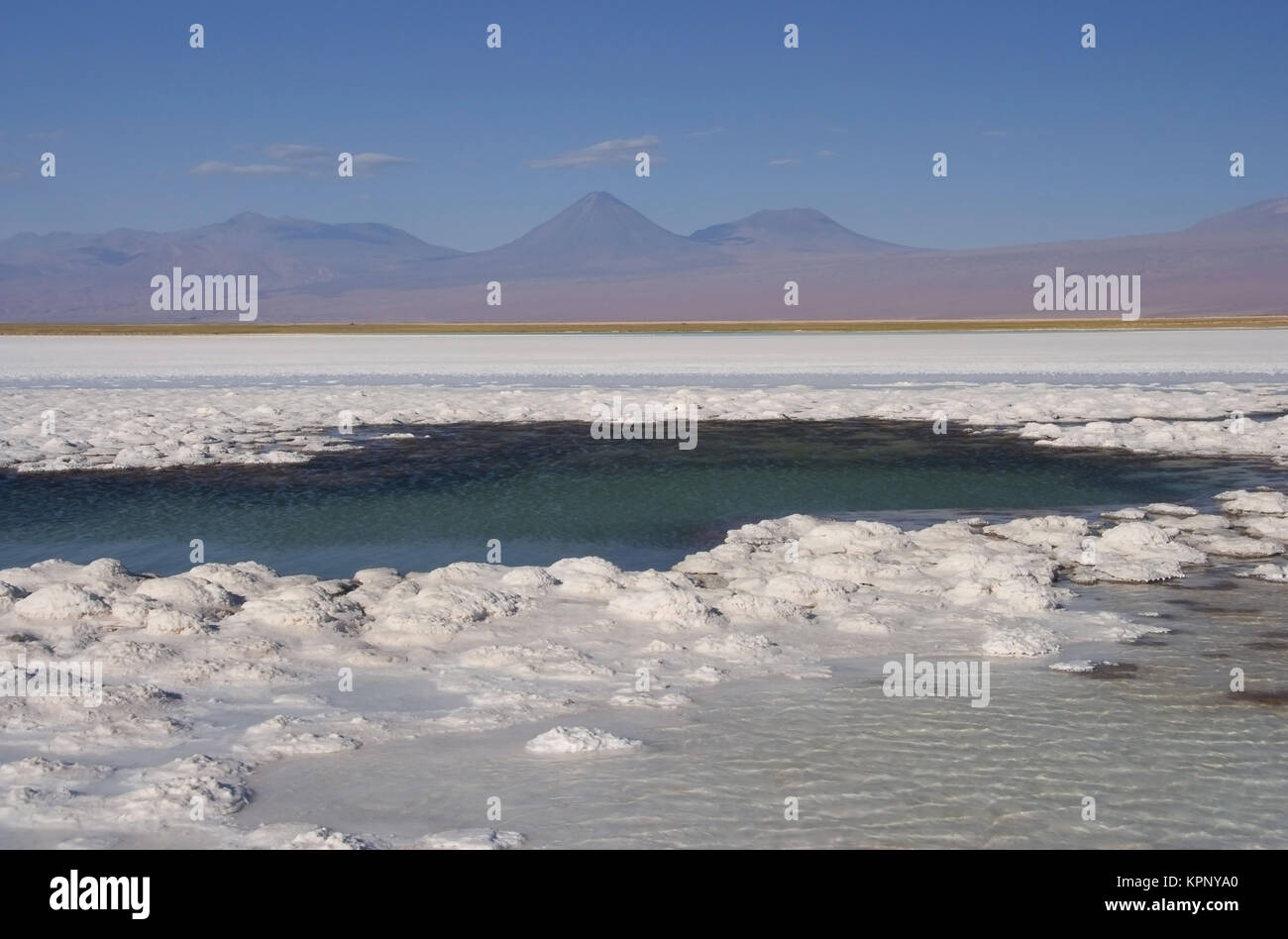 Salar de Atacama, Salzsee, Atacamawueste, Chile, Suedamerika - Salar de Atacama, salt lake, Atacama Desert, Chile, South America Stock Photo