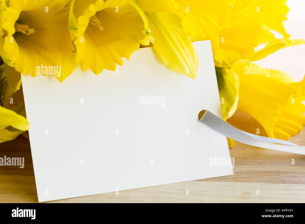 Spring Celebration Greeting Stock Photo - Alamy