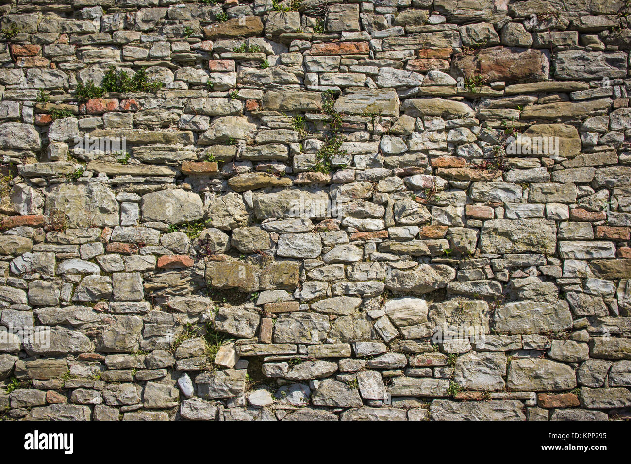 Wall tie plate hires stock photography and images Alamy