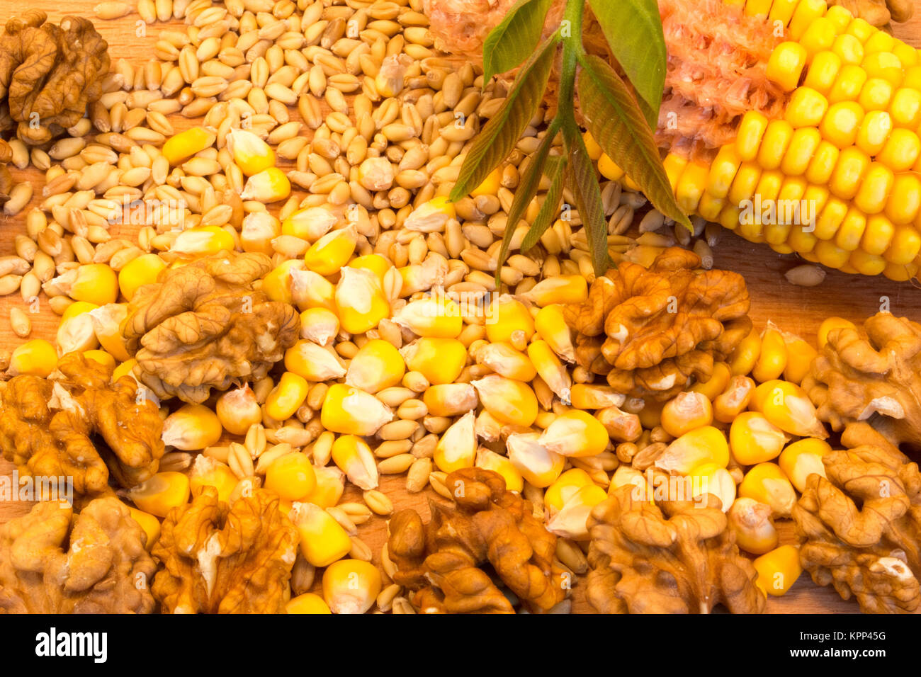 Corn with nuts Stock Photo