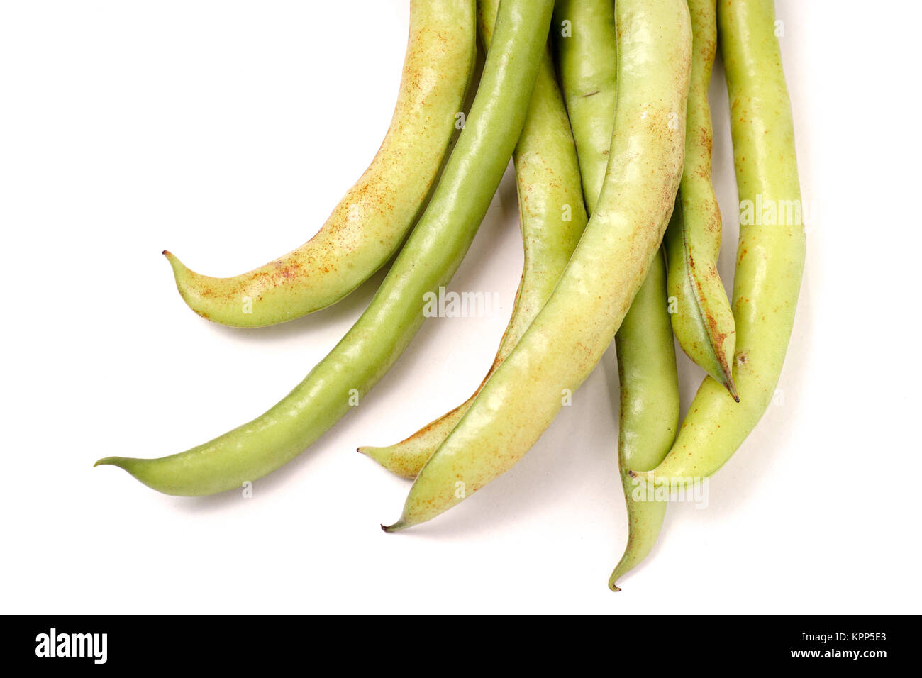 Broad Beans in pod Stock Photo Alamy