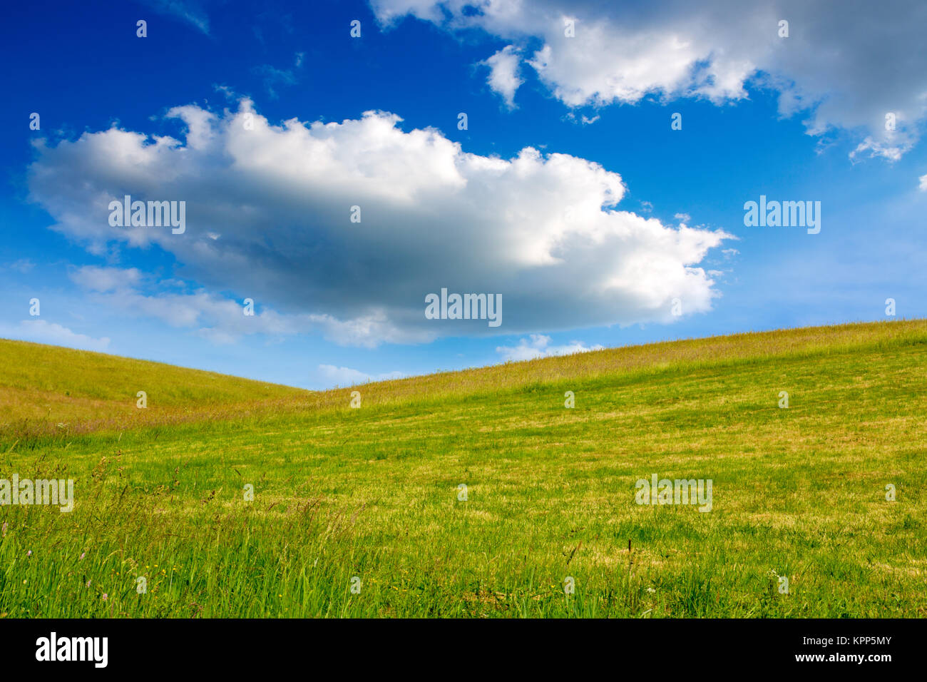 Field of summer grass and bright blue sky Stock Photo - Alamy