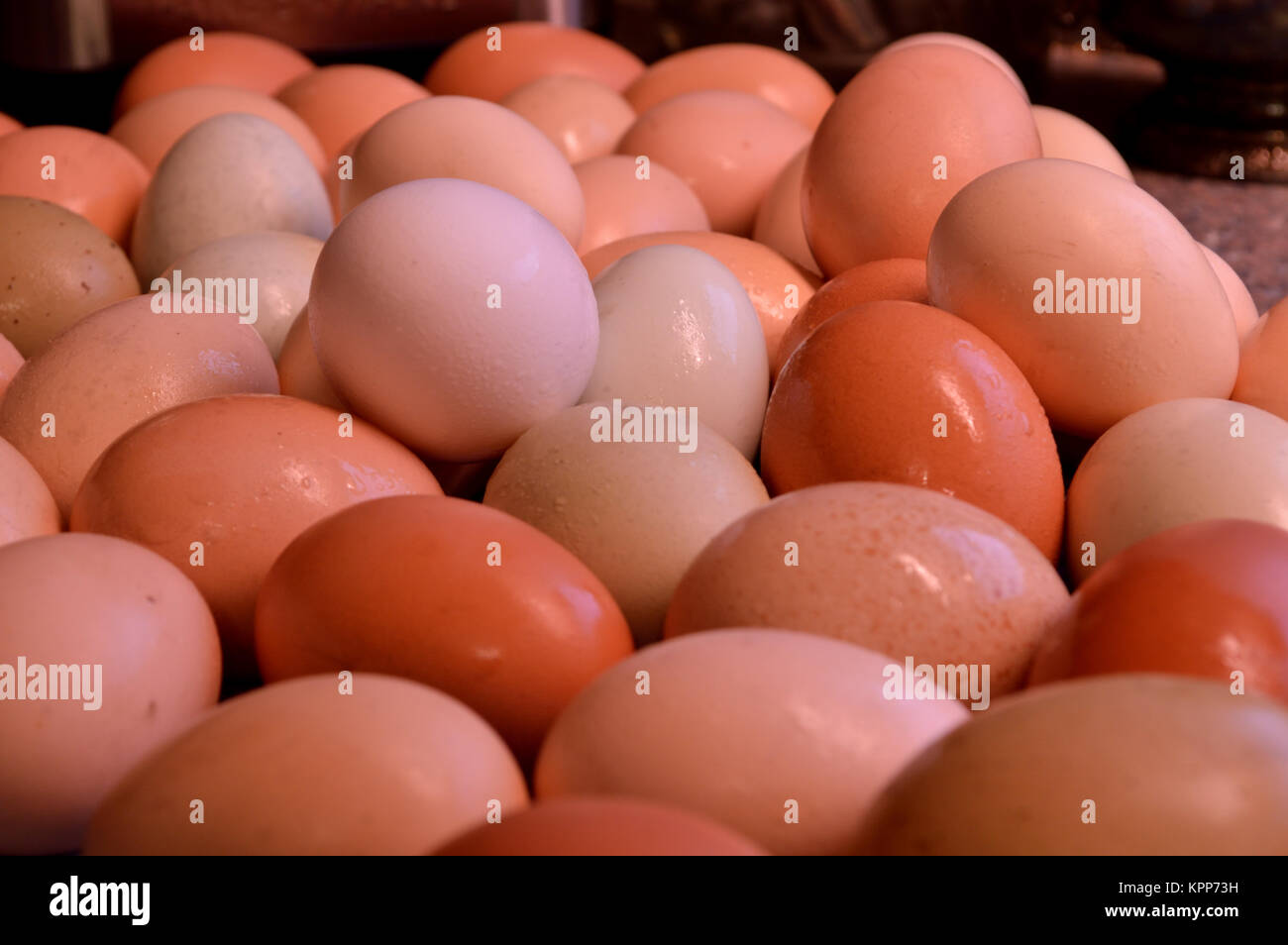 Brown yard eggs, wet Stock Photo Alamy