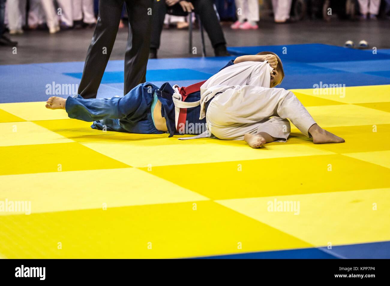 Two judoka on the tatami Stock Photo Alamy