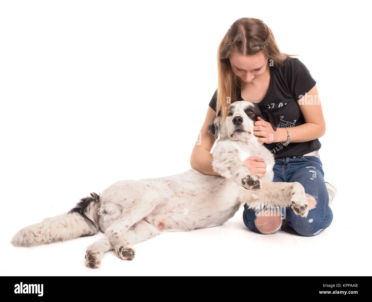 Why Do Dogs Cuddle With Toys