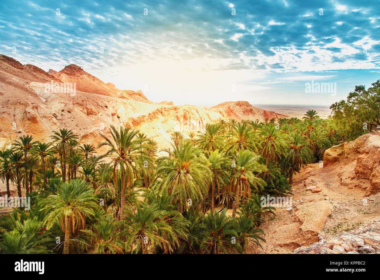 Scenic View Of Mountain Oasis Chebika Sahara Desert Tunisia Africa 
