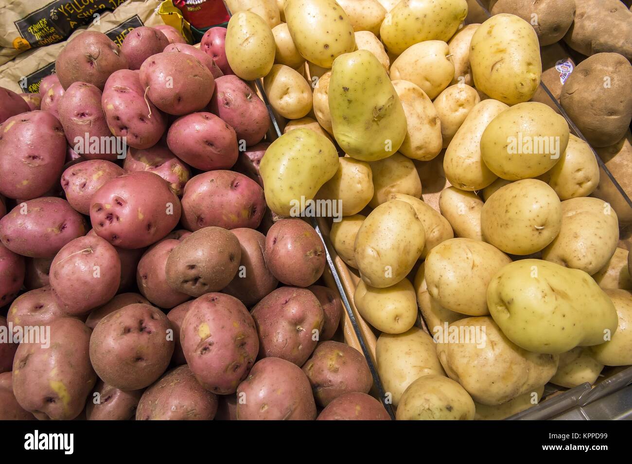 harvested potato tubers different varieties from market shelves Stock Photo