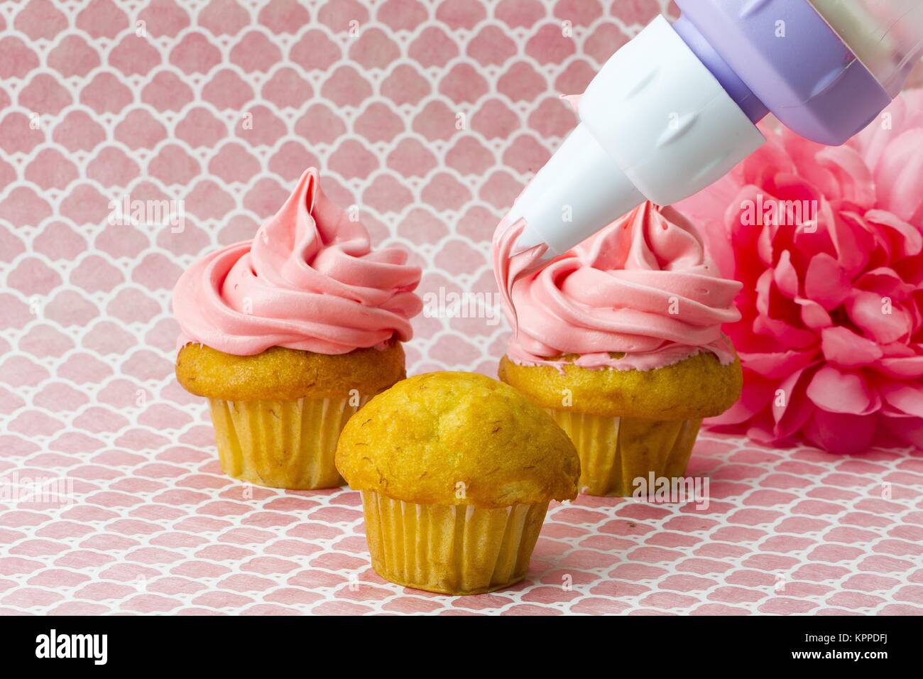 icing bag squeezing butter cream on cupcake Stock Photo Alamy