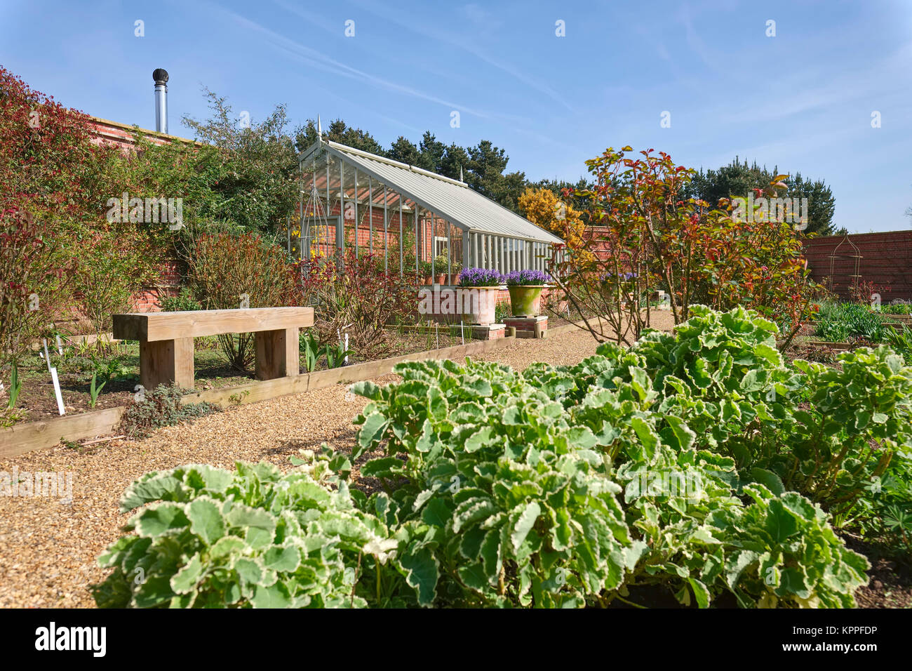 Greenhouse in Millenium Walled garden at Old Vicarage garden East Ruston Norfolk Stock Photo