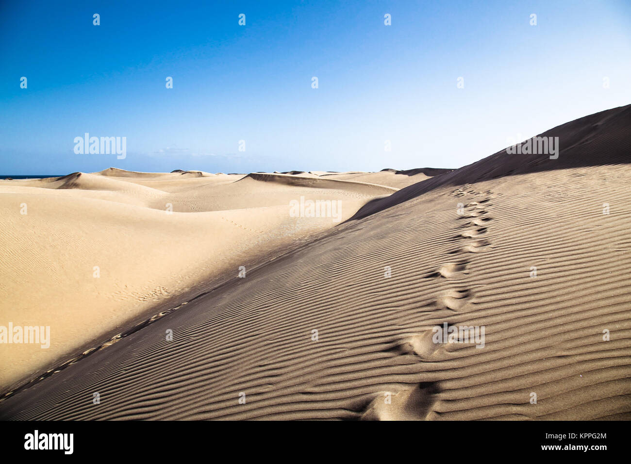 Sandy dunes in famous natural Maspalomas beach on Gran Canaria. Spain Stock Photo