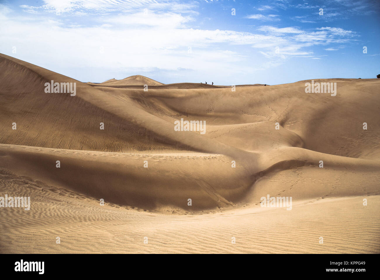 Sandy dunes in famous natural Maspalomas beach on Gran Canaria. Spain Stock Photo