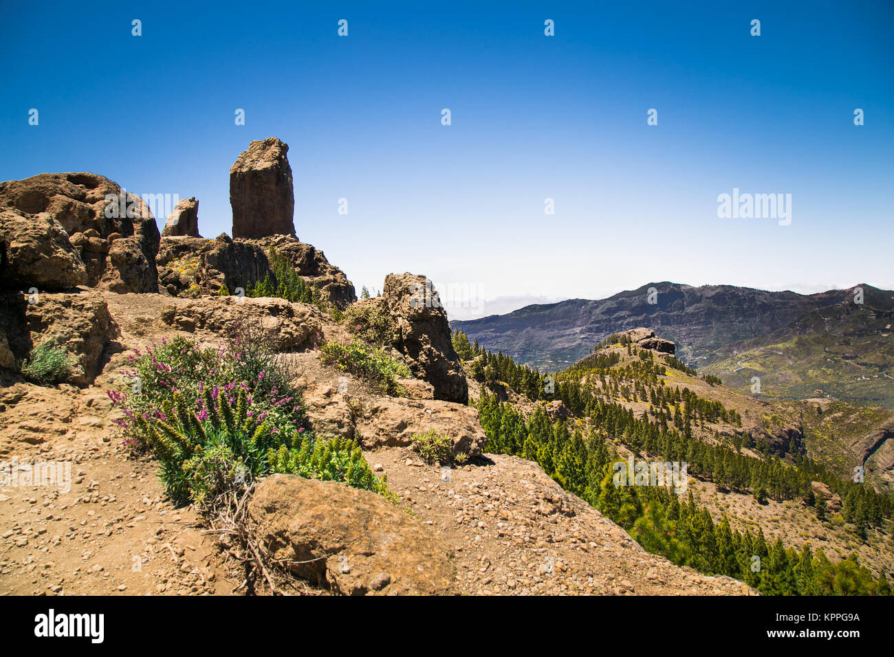Hochster Berg Gran Canaria
