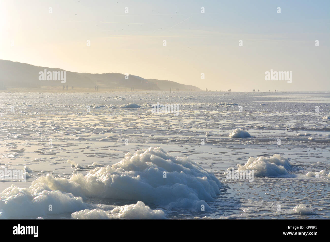 Froth on the beach at sunset on North sea, Texel, Netherlands Europe Stock Photo