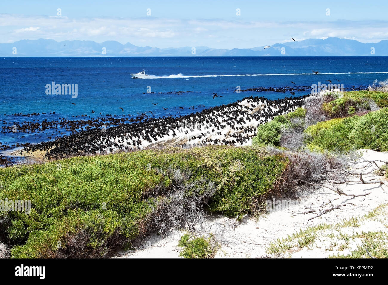 Sea view, near Boulders Beach, South Africa Stock Photo