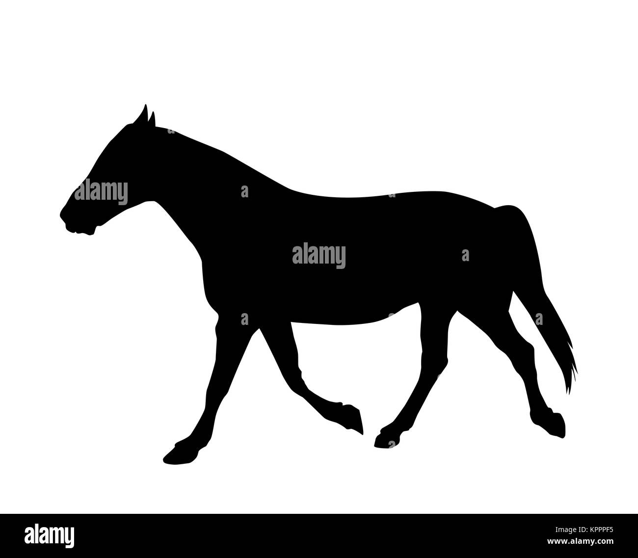 Sticker to car silhouette horse. Vector Illustration. Stock Vector