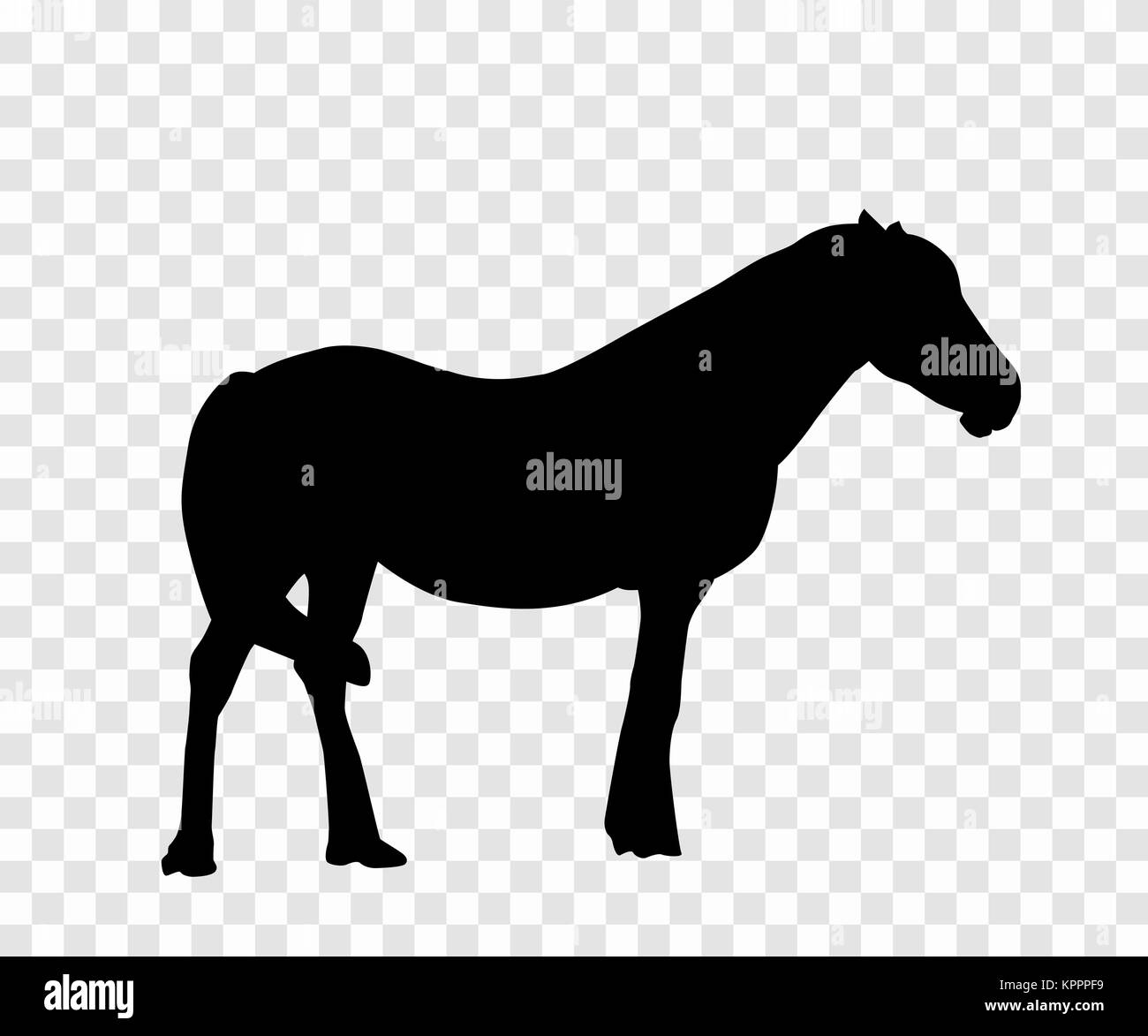 Sticker to car silhouette horse. Vector Illustration. Stock Vector