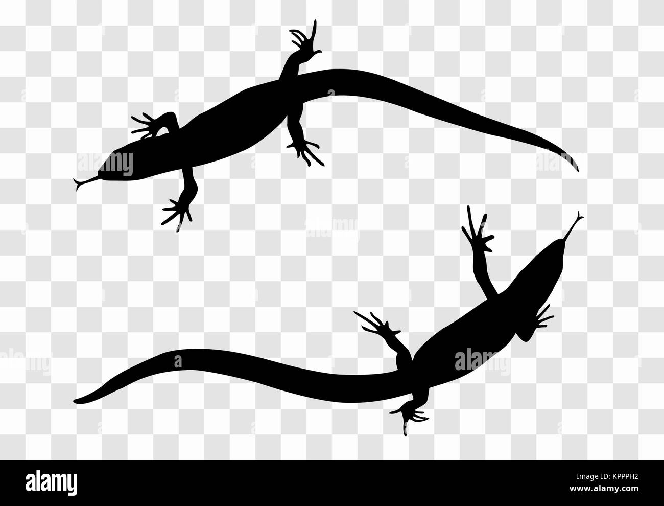 Sticker on car of reptile: Silhouette of lizard. Vector Illustra Stock Vector