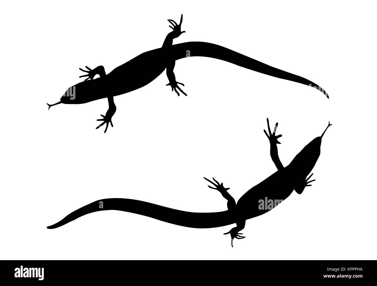 Sticker on car of reptile: Silhouette of lizard. Vector Illustra Stock Vector