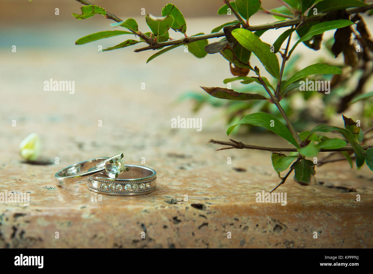 Featured image of post Beautiful Nature Wedding Background Hd
