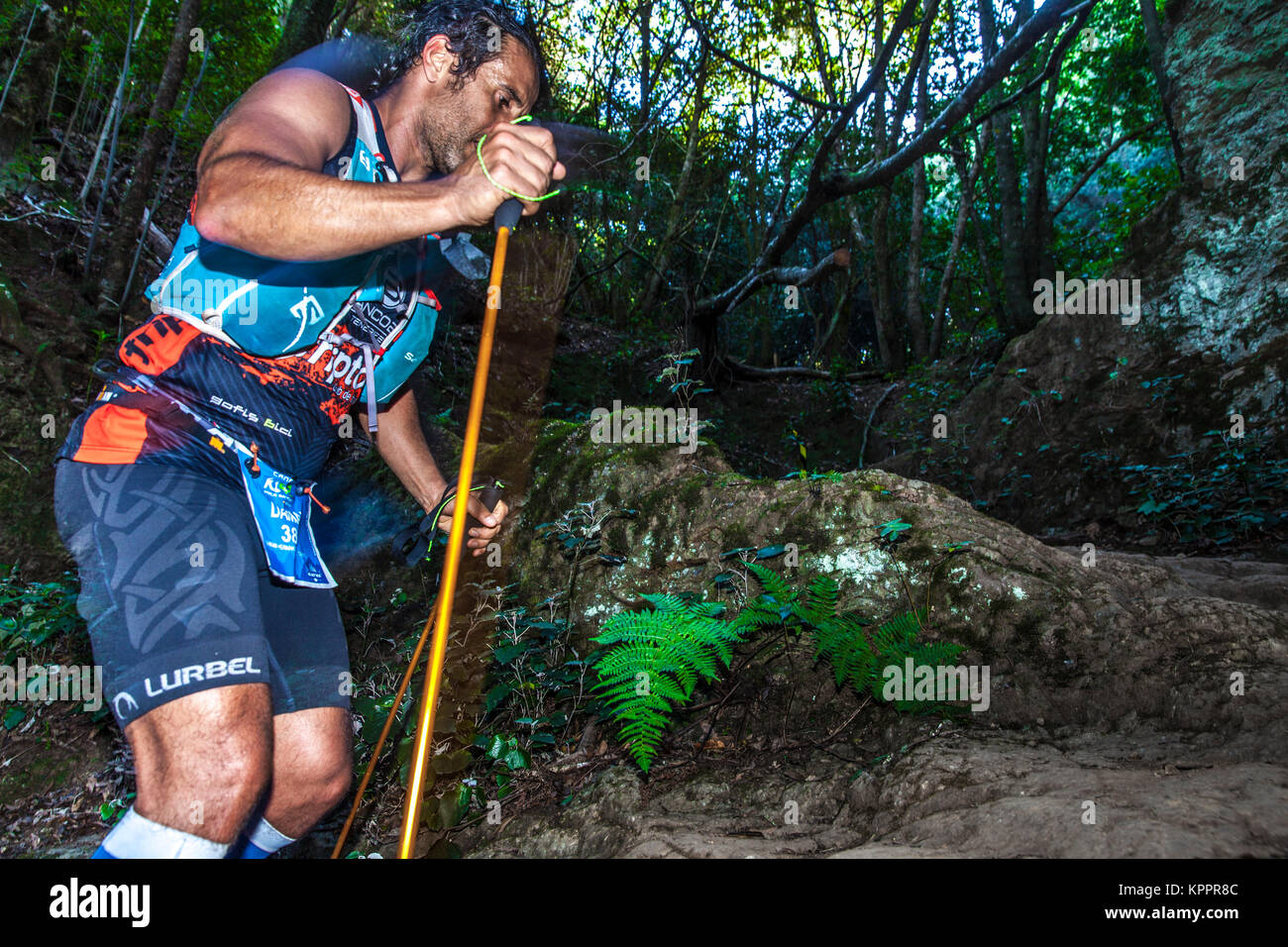 trail runner during K42 Anaga competition. Tenerife island, Spain Stock  Photo - Alamy
