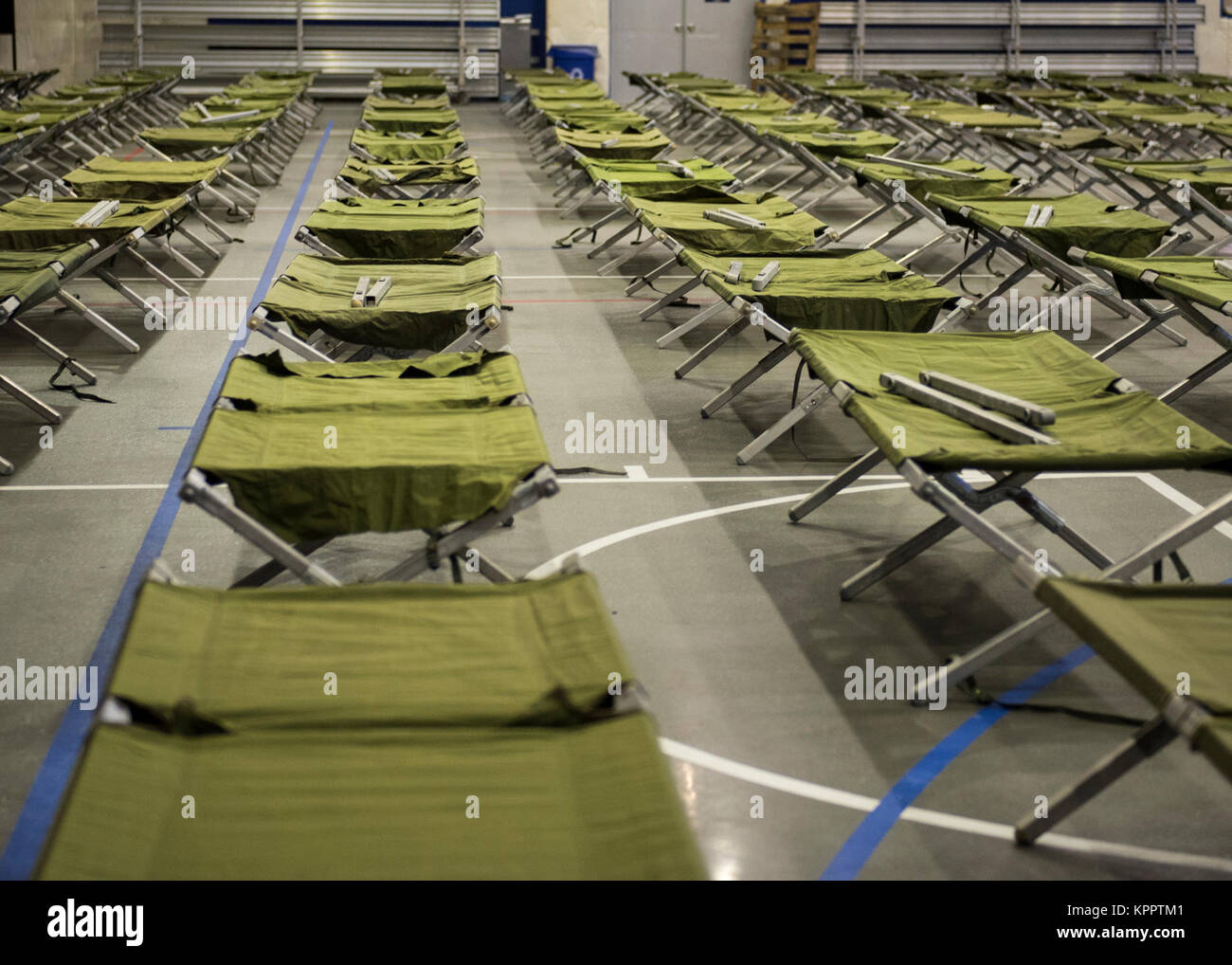 Rows of cots await non-combatants as part of a deployment and ...