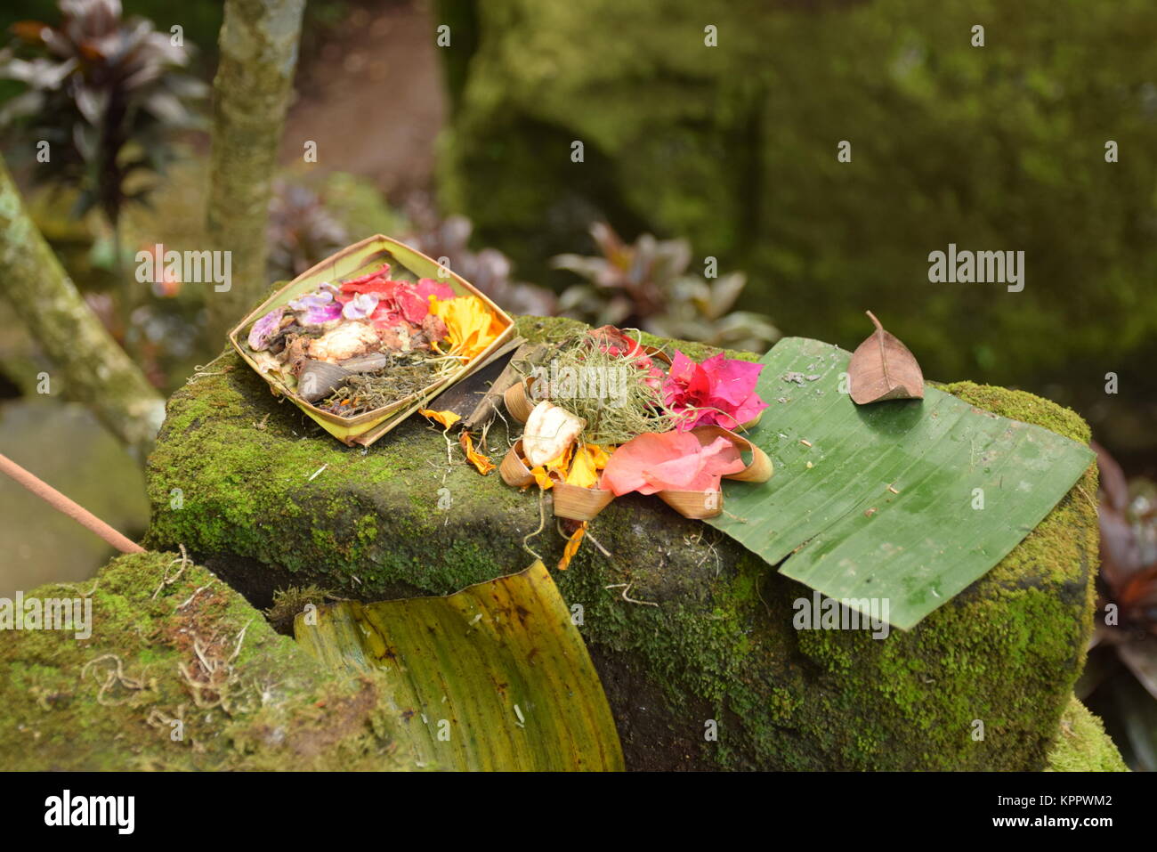 Typical balinese offerings also called Canang Sari inside Goa Gajah hindu temple in Bali - Indonesia Stock Photo