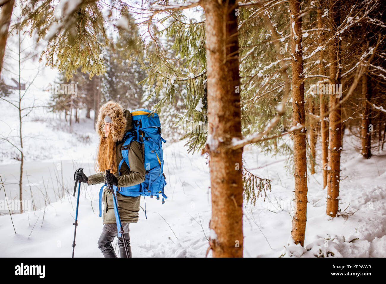 Winter hiking in the forest Stock Photo - Alamy