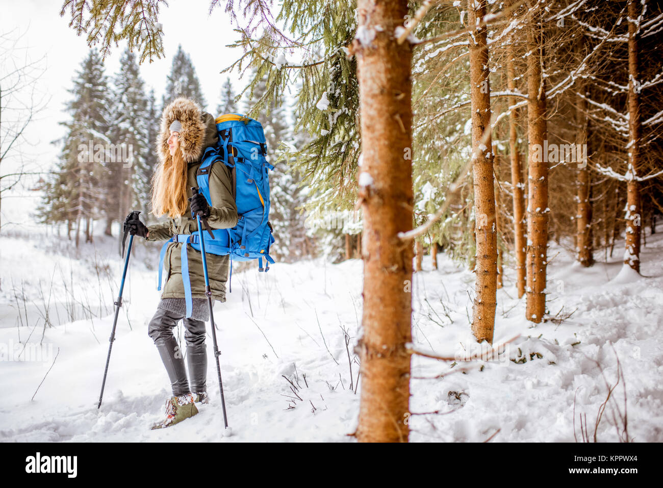 Winter hiking in the forest Stock Photo - Alamy