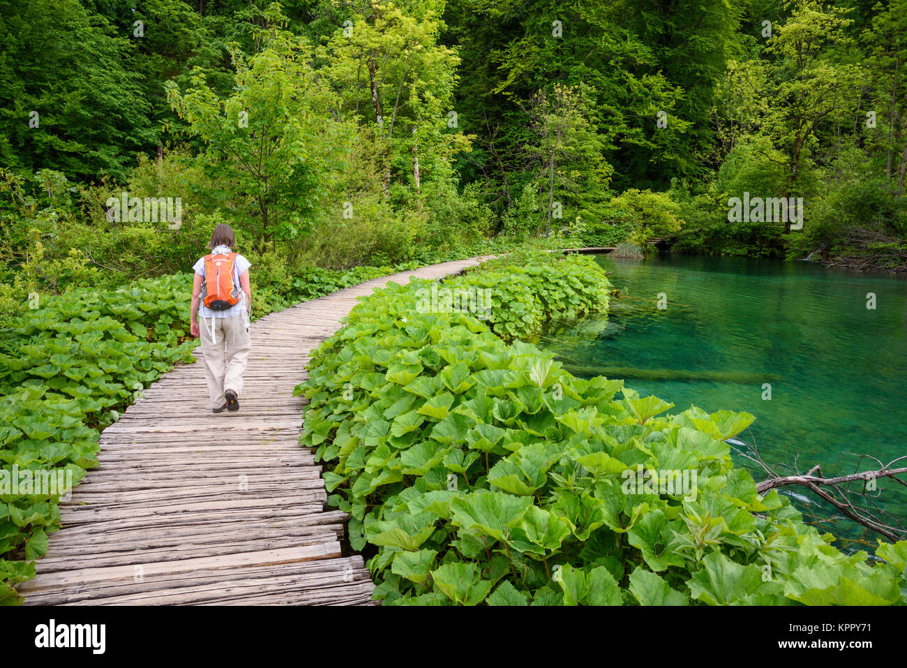 Plitvice Lakes National Park, Croatia Stock Photo