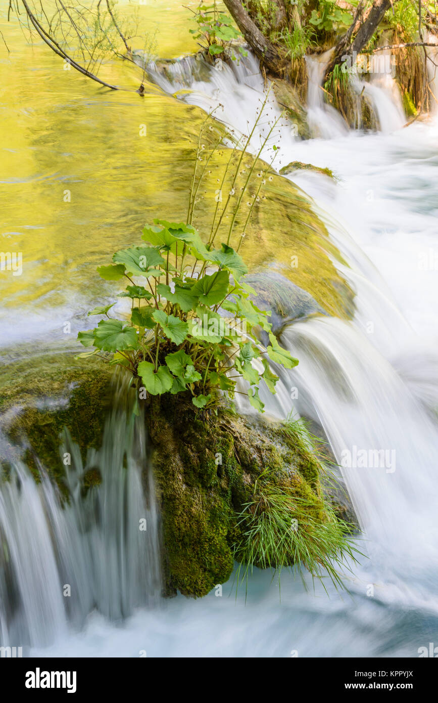 Plitvice Lakes National Park, Croatia Stock Photo