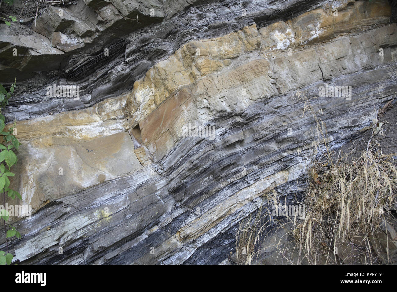 Germany, Ruhr area, Herdecke, geological outcrop at the Schiffswinkel, shale clay, sandstone and black coal, originated for 300 million years.  Deutsc Stock Photo