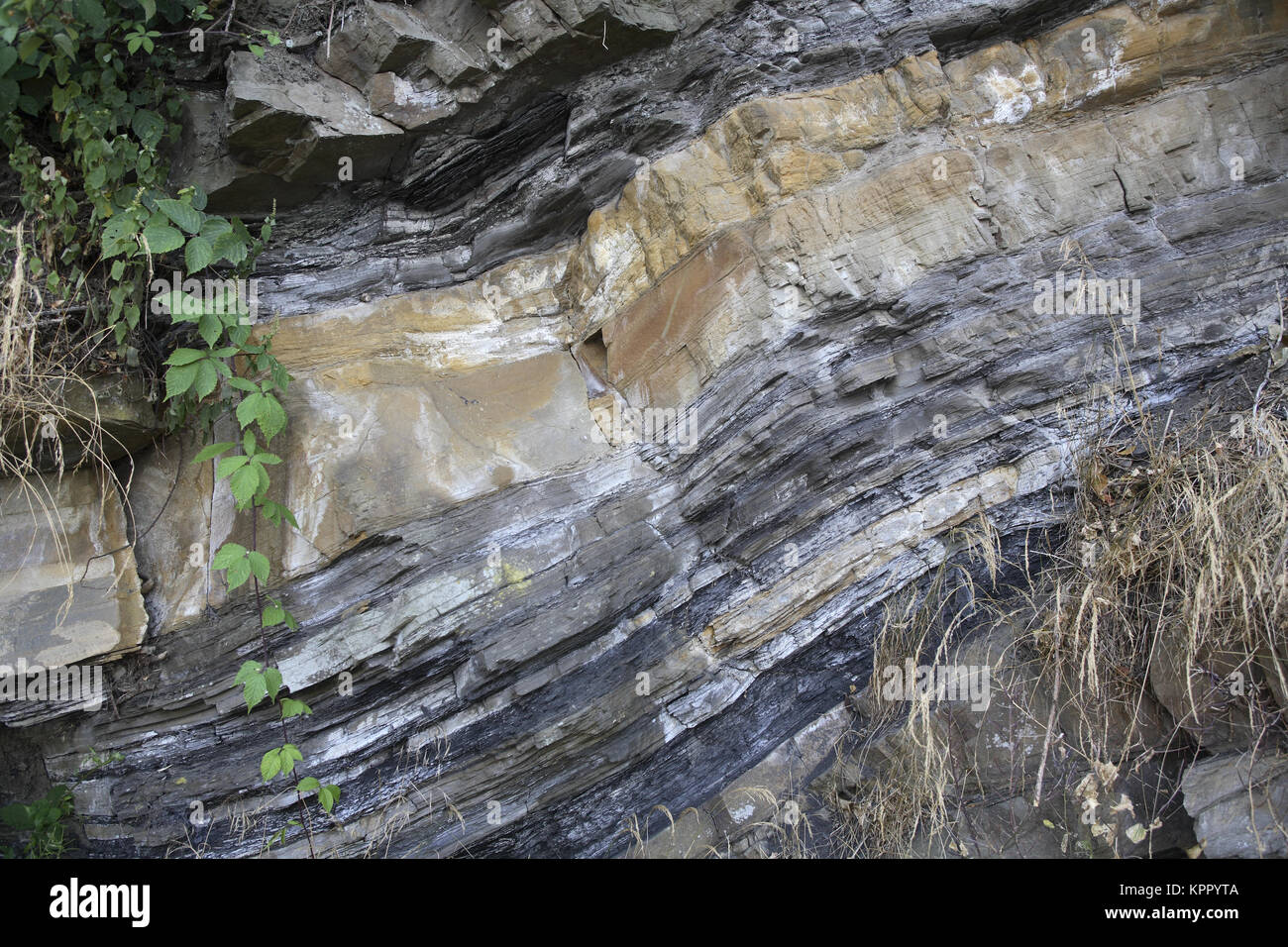 Germany, Ruhr area, Herdecke, geological outcrop at the Schiffswinkel, shale clay, sandstone and black coal, originated for 300 million years.  Deutsc Stock Photo
