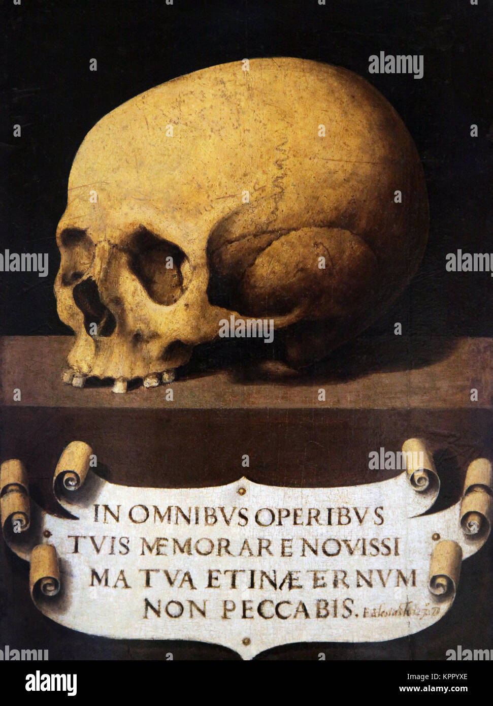 Skull painting (Memento mori) by Joan de Joanes (1507 – 1579) spanish painter.Valencia Stock Photo