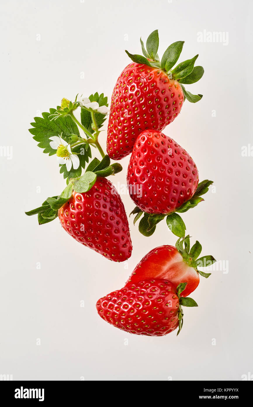 Cluster of ripe red whole fresh strawberries with green stalks and ...
