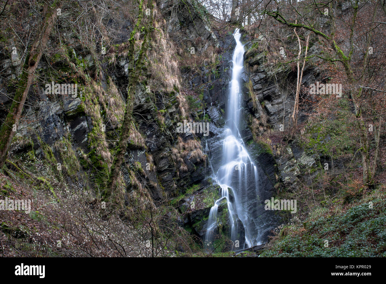 Europe, Germany, the waterfall Plaesterlegge in Bestwig in the low mountain range of the Sauerland region.  Europa, Deutschland, Sauerland, der Wasser Stock Photo