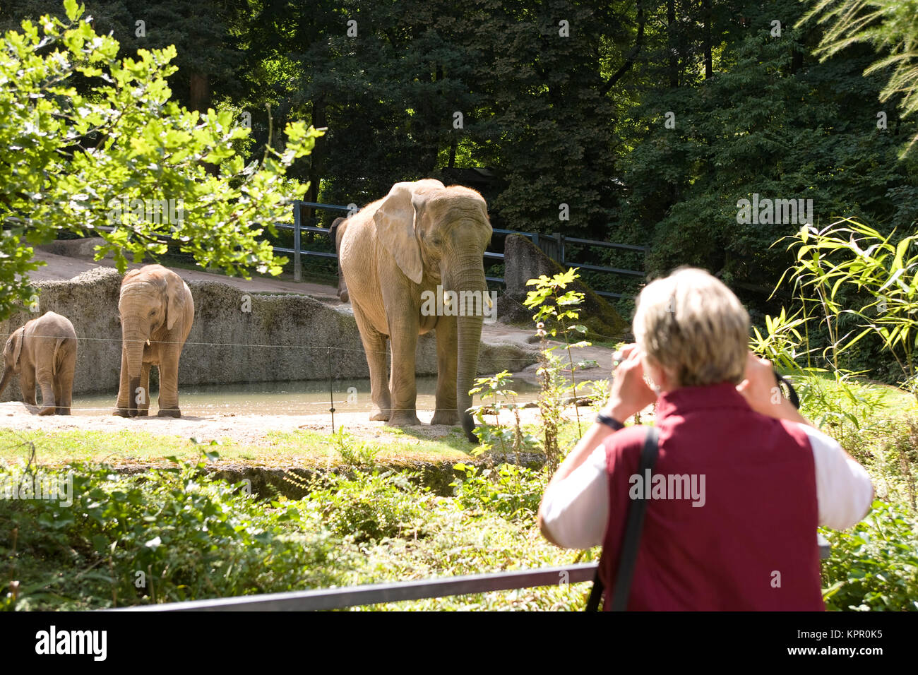 Zoo Wuppertal High Resolution Stock Photography and Images - Alamy