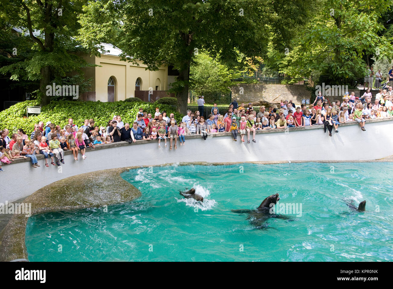 Europe, Germany, Wuppertal, the Zoo, visitors at the pool of the sea lions.  Europa, Deutschland, Wuppertal, Zoo Wuppertal, Besucher am Becken der See Stock Photo