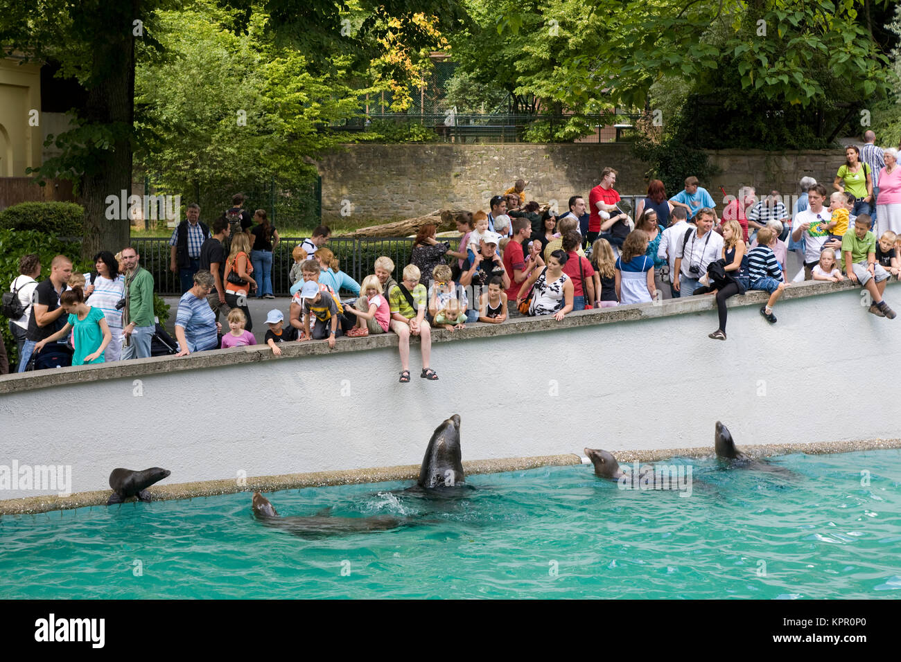 Europe, Germany, Wuppertal, the Zoo, visitors at the pool of the sea lions.  Europa, Deutschland, Wuppertal, Zoo Wuppertal, Besucher am Becken der See Stock Photo