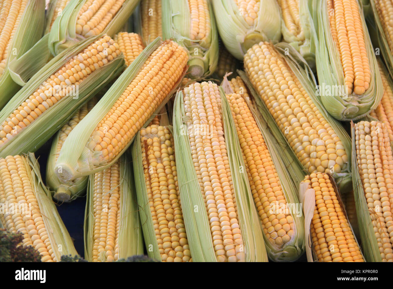 maize at market Stock Photo