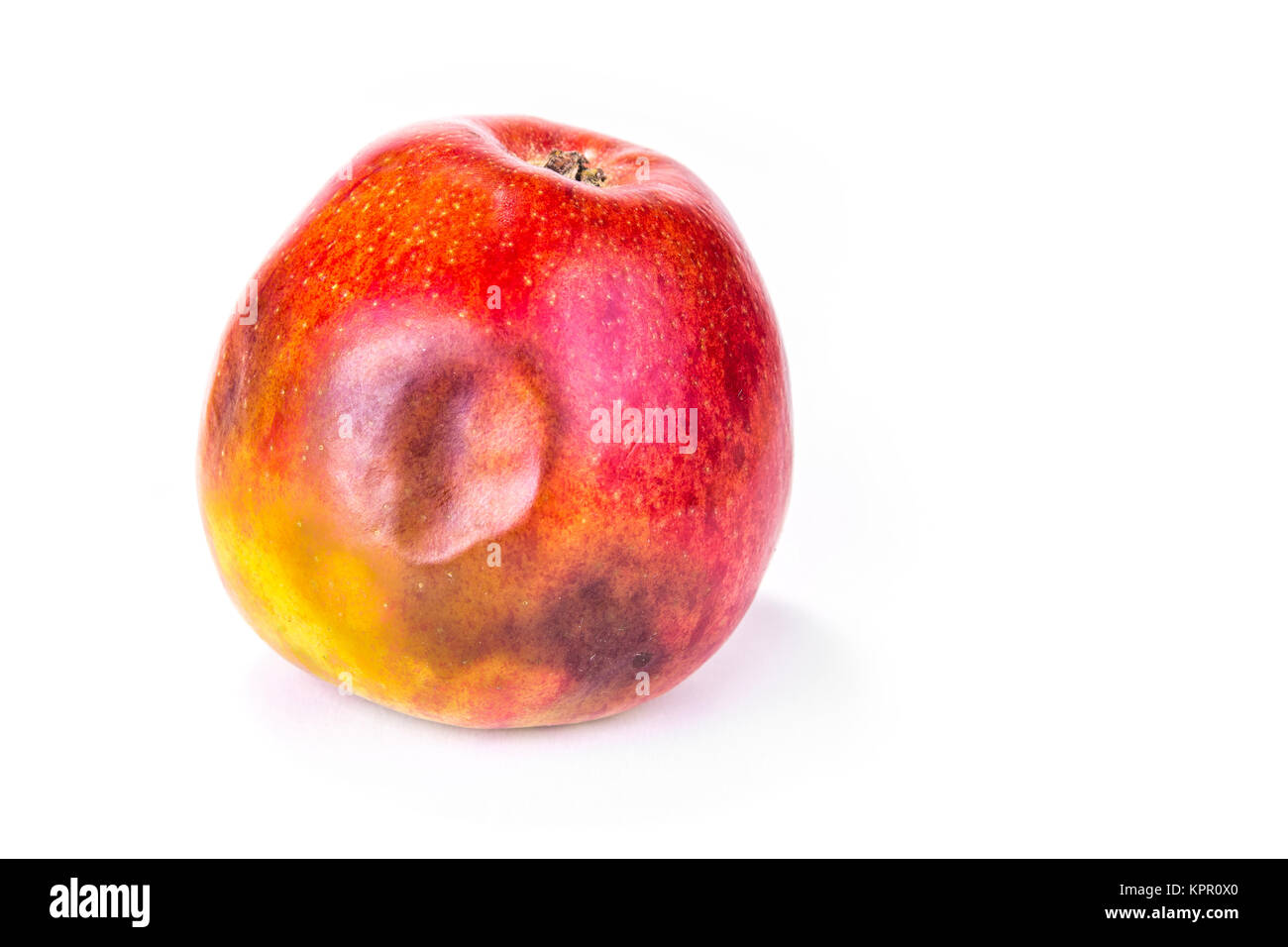 Rotten apple on the white background Stock Photo - Alamy