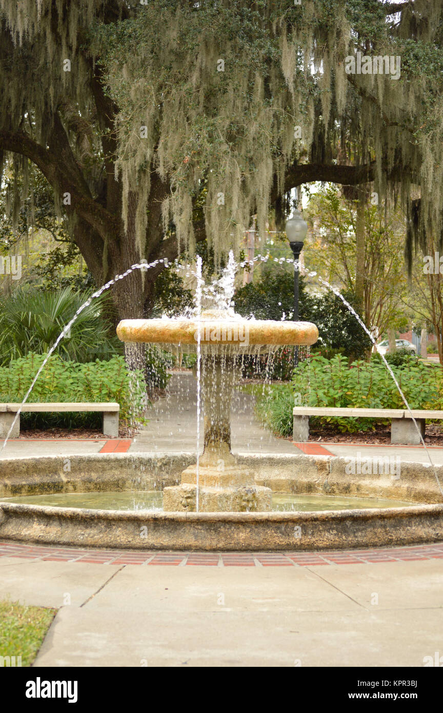 Fountain in park in Florida Stock Photo Alamy