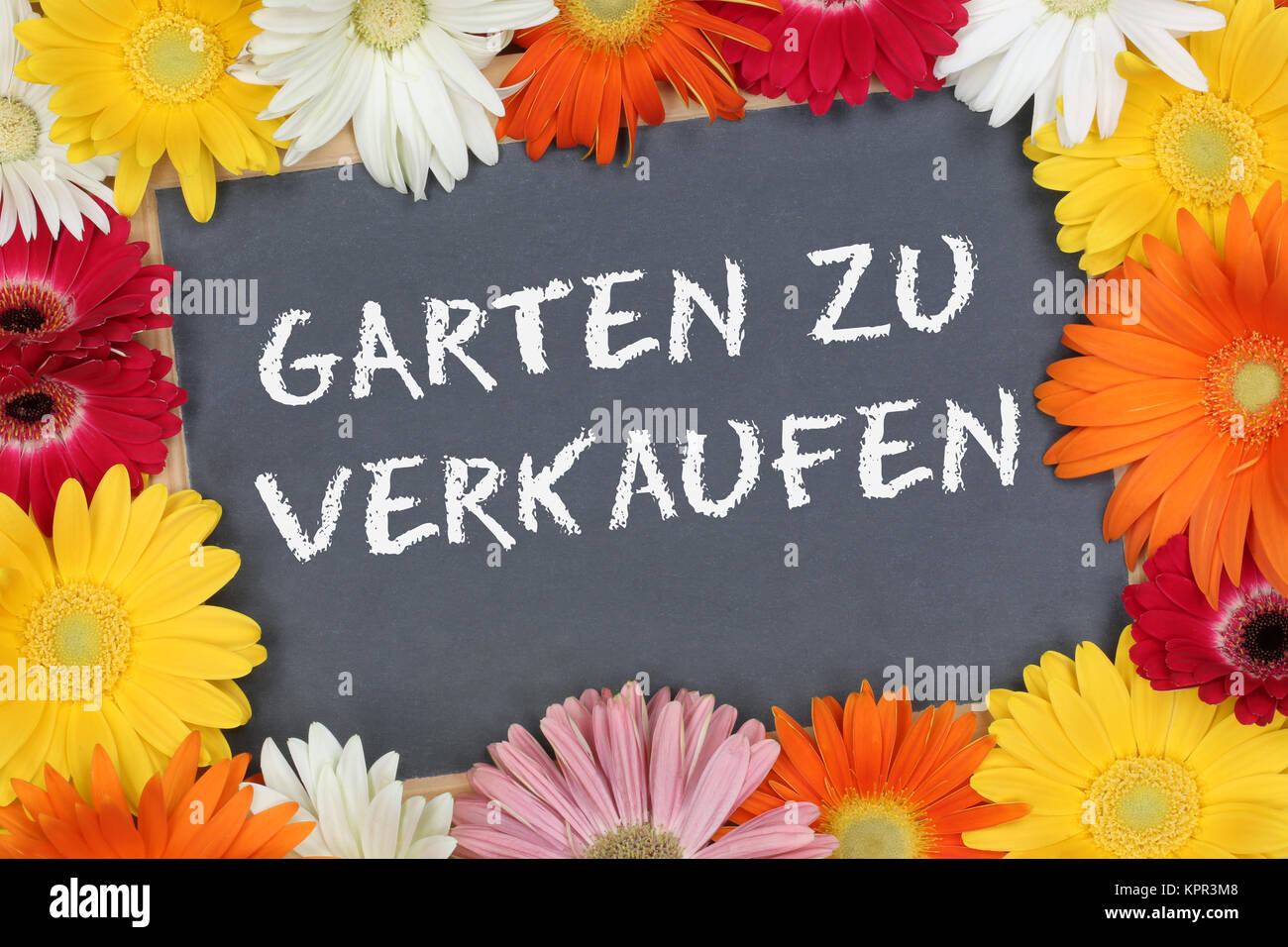 Garten zu verkaufen Verkauf mit bunten Blumen Blume Schild Tafel Stock Photo