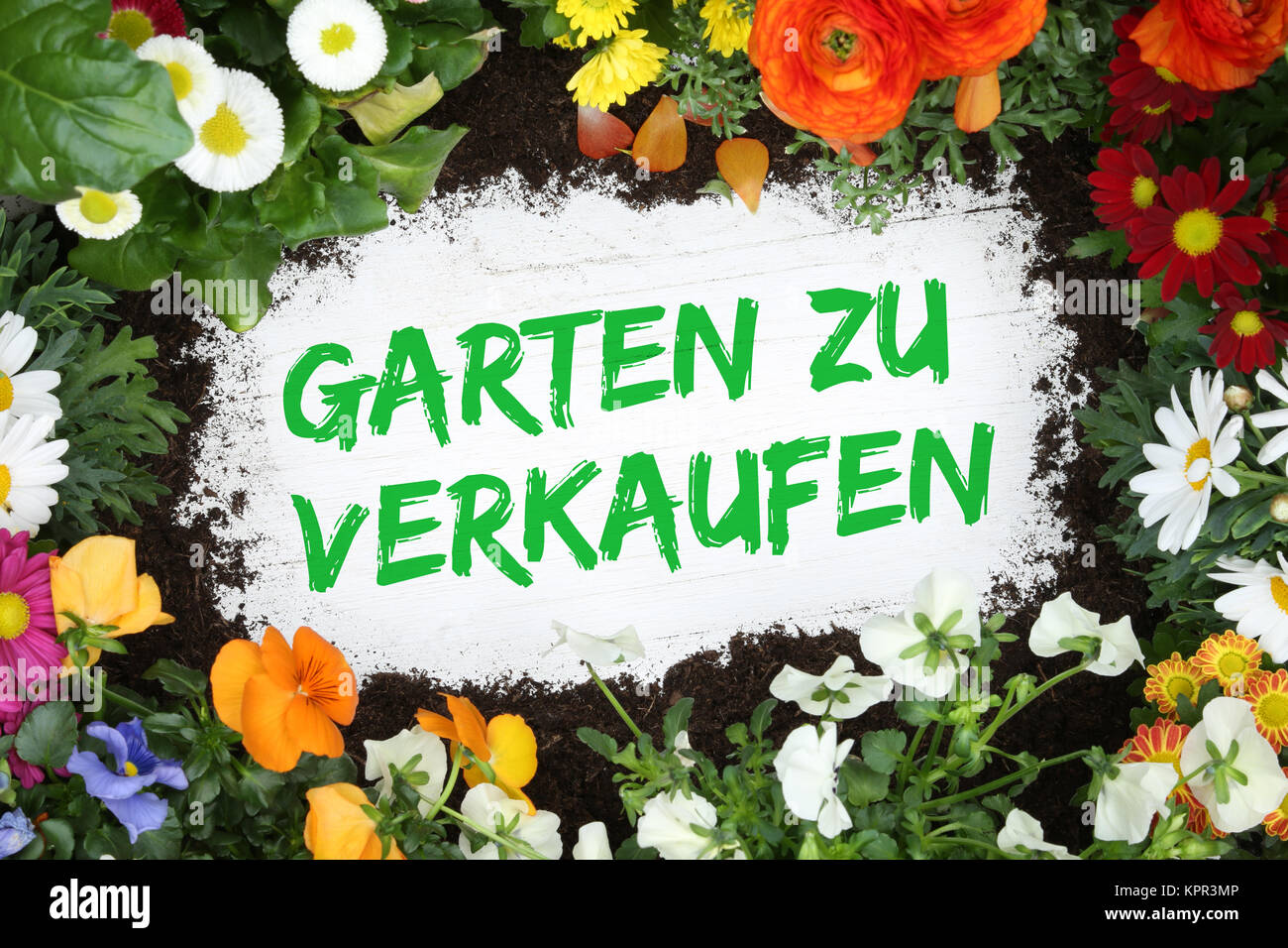 Garten zu verkaufen Verkauf mit Blumen Blume auf Holzbrett Stock Photo