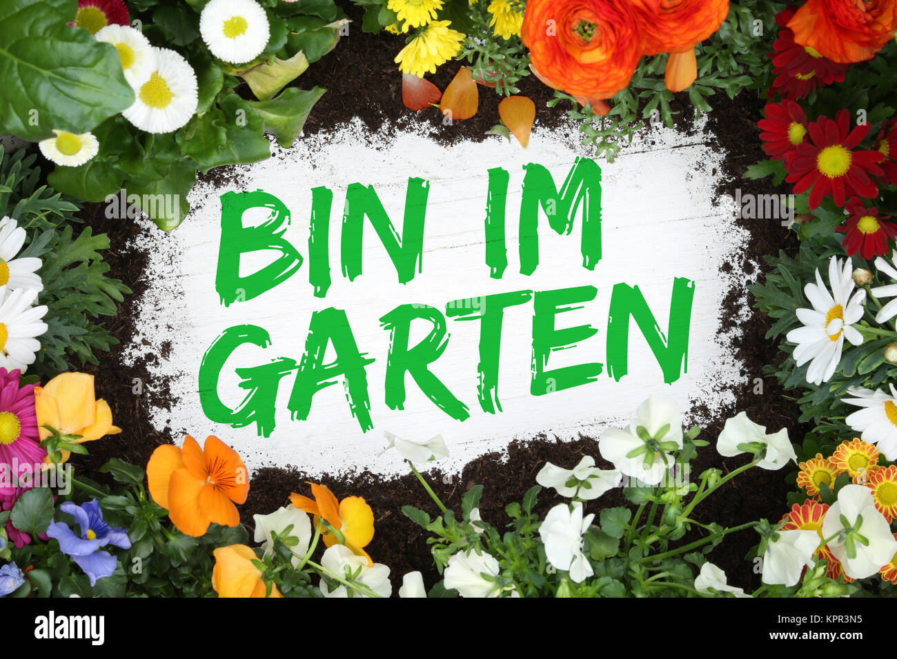 Bin im Garten mit Blumen Blume auf Holzbrett Stock Photo Alamy