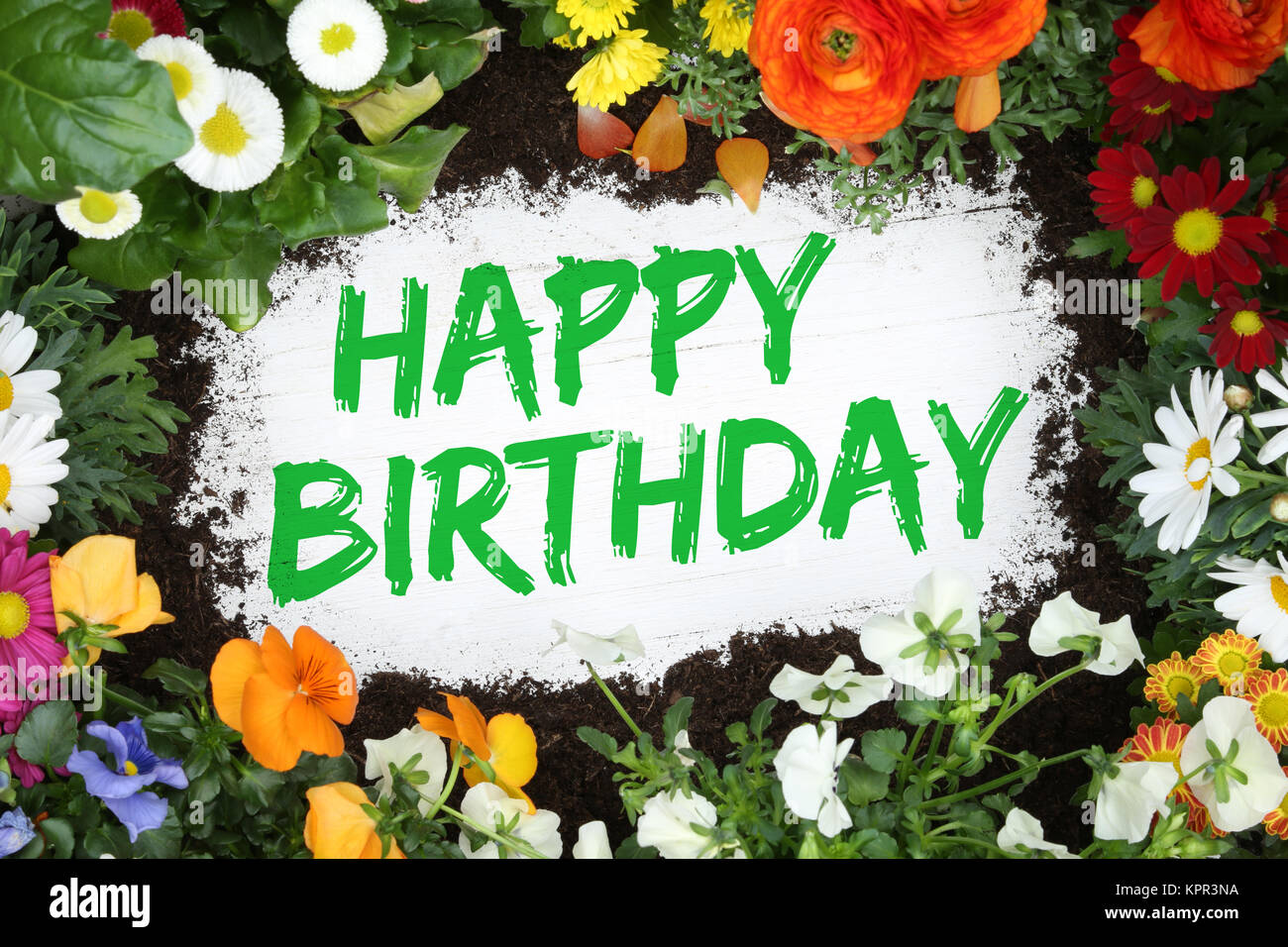 Happy Birthday Geburtstag Karte Geburtstagskarte mit Blumen Blume auf  Holzbrett Stock Photo - Alamy