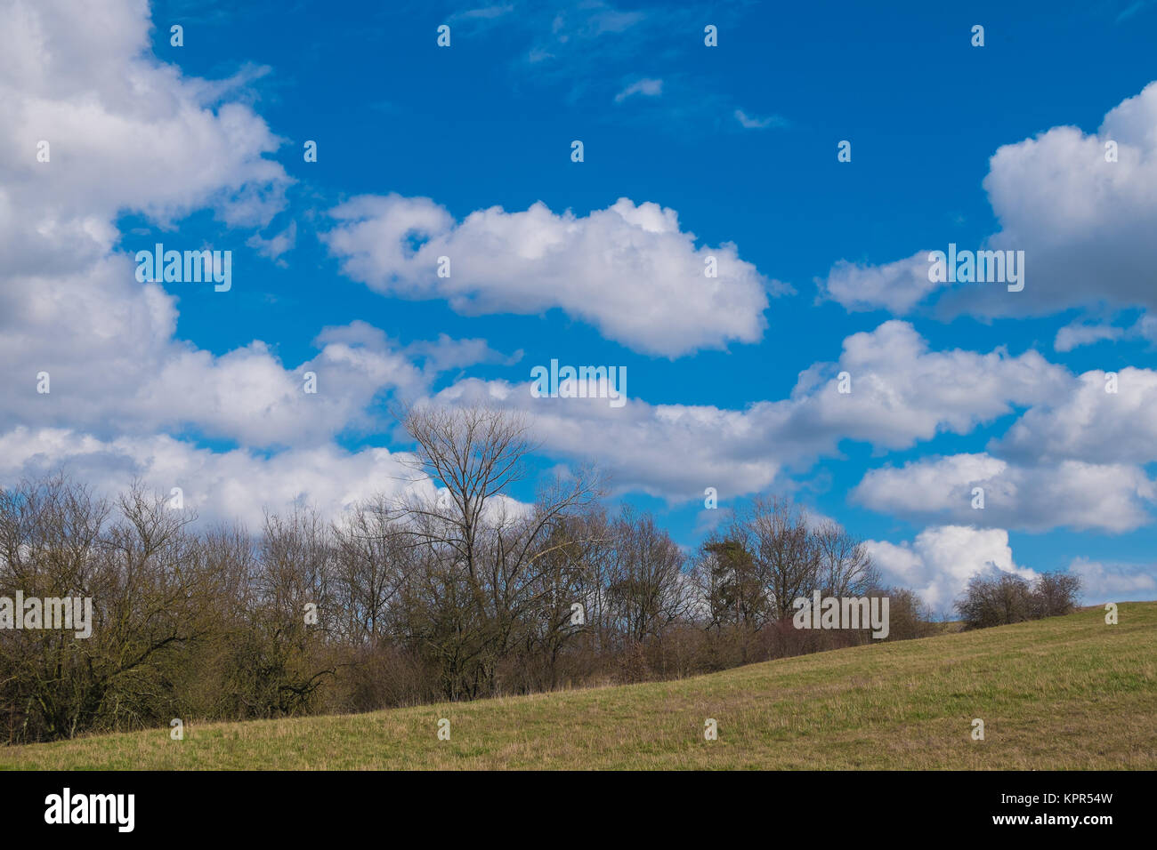 landscape in spring Stock Photo - Alamy