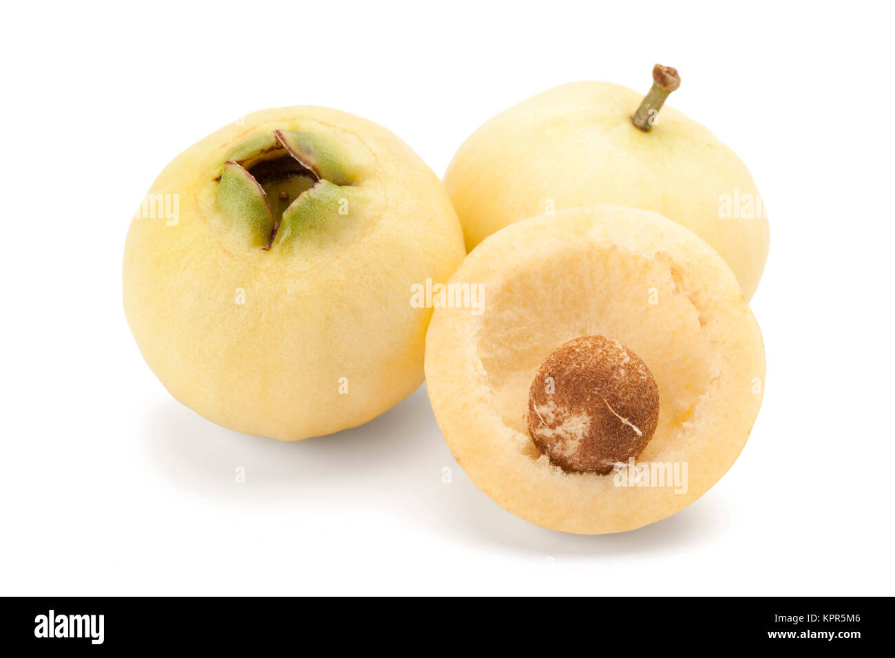 Syzygium jambos or rose apple Stock Photo