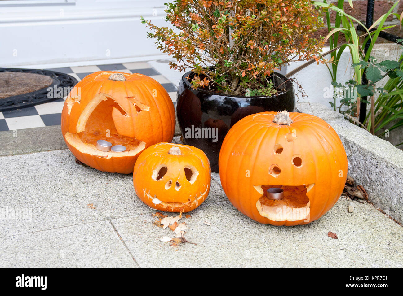 Carved pumpkins, Halloween, trick or treat concept, kids fun, halloween  carving pumpkins Stock Photo - Alamy