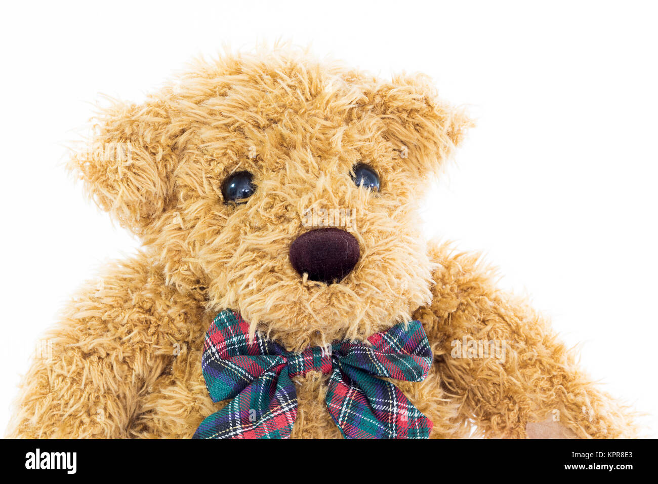 Close up teddy bear portrait on white Stock Photo